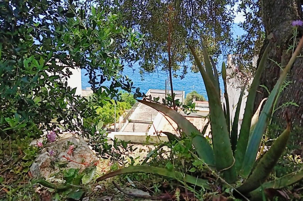 Villa Marina Di Andrano - Alisso, Casa Vista Mare Con Parcheggio Privato E Wifi Exterior foto